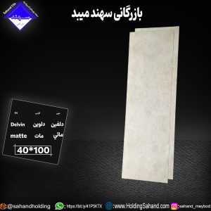 کاشی دلوین سایز ۱۰۰*۴۰