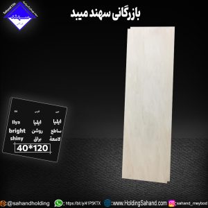 کاشی ایلیا سایز ۱۲۰*۴۰