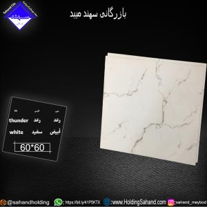 کاشی رعد سایز 60*60