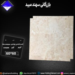 کاشی پردیس سایز 60*60