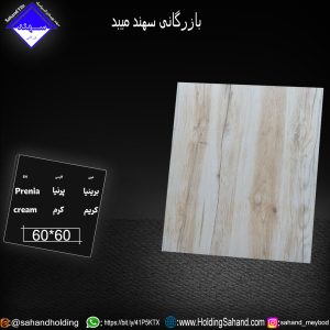 کاشی پرنیا سایز 60*60