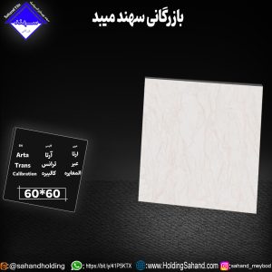 کاشی آرتا سایز 60×60